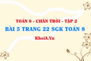 Bài 5 trang 22 Toán 8 Chân trời sáng tạo Tập 2